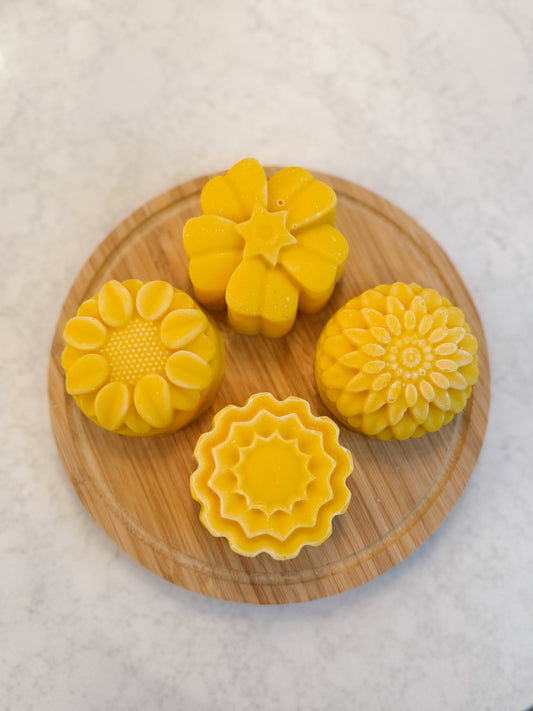 Citrus In Bloom