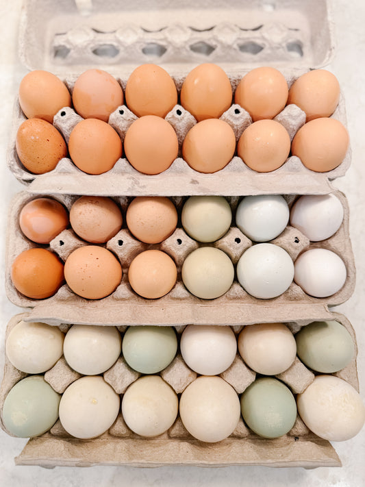 1 Dozen CHICKEN Eggs